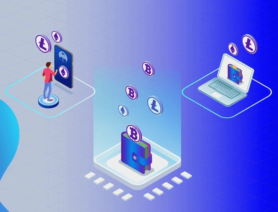 walltes de hardware vs wallets de software