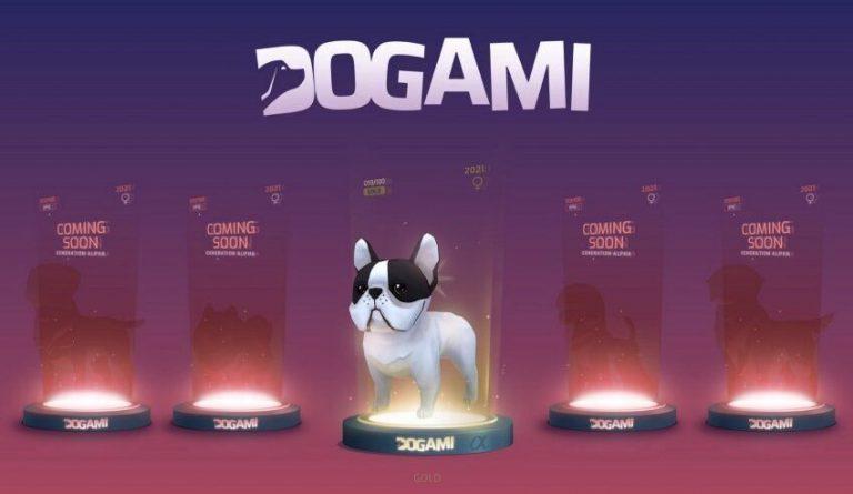 DOGAMI será el primer «Petaverso» del mundo