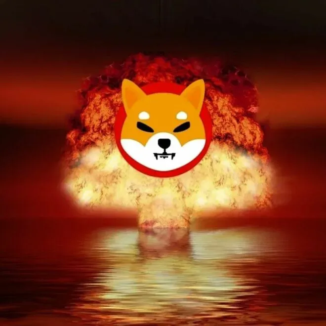 El quemador de SHIB de Amazon bate un record destruyendo tokens