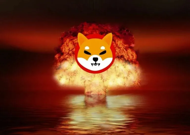 El quemador de SHIB de Amazon bate un record destruyendo tokens