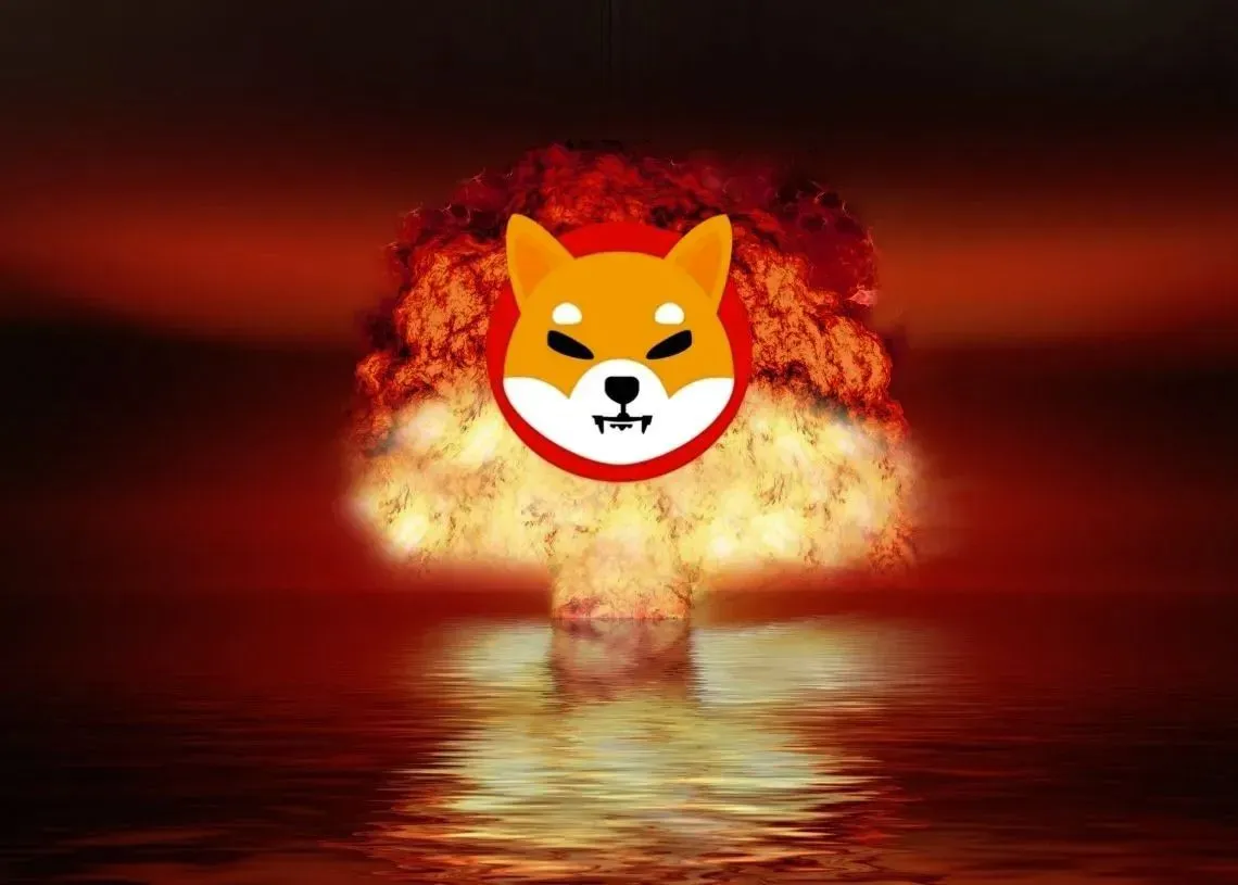 El quemador de SHIB de Amazon bate un record destruyendo tokens