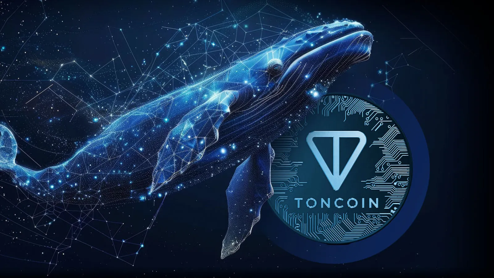 Las Ballenas de Toncoin: ¿Acumulando o Huyendo?