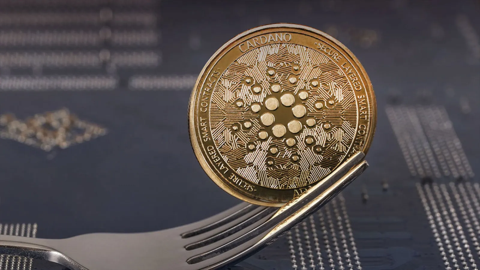 Cardano se revoluciona: Chang Fork llega